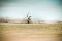 Movement in Moments
