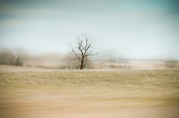 Movement in Moments
