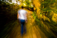 Movement In Moments